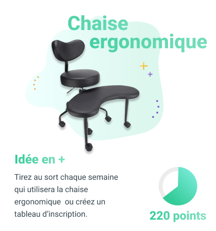 Ambassadeur Chaise ergonomique (1)