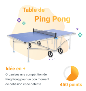 Ambassadeur table ping pong-1