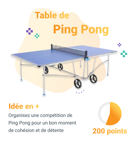 Ambassadeur table ping pong